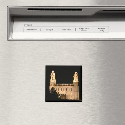 MantiTemple Magnet (Insitu (Vaatwasser))