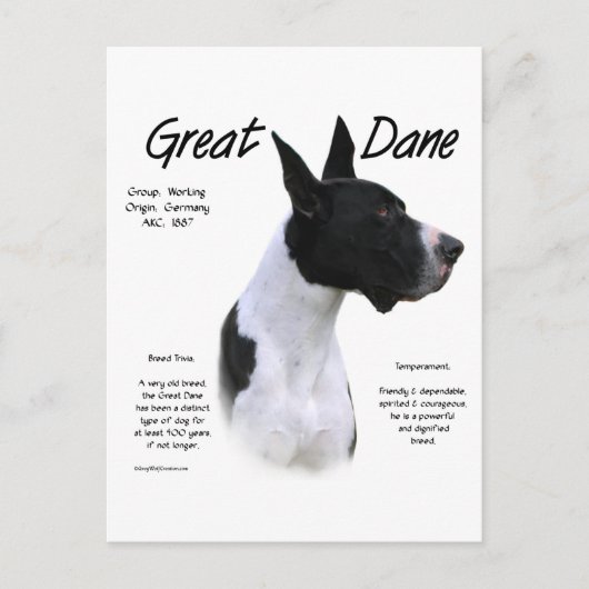 Mantle Great Dane Maak kennis met het ras Briefkaart (Voorkant)
