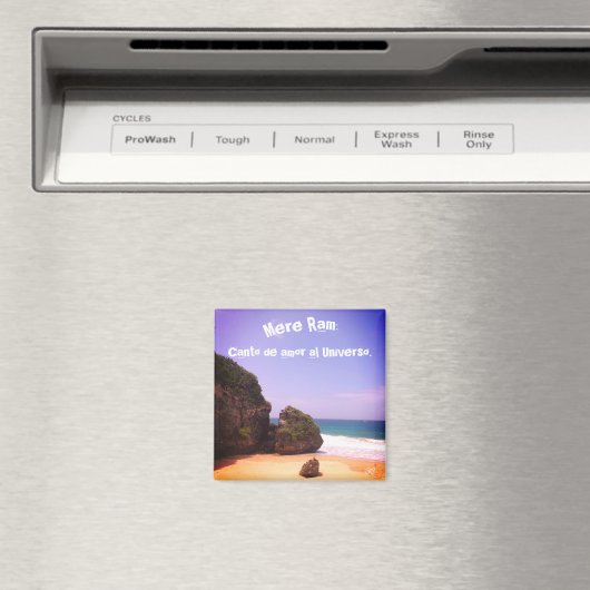 Mantras Magneet (Insitu (Vaatwasser))