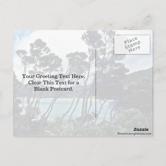 Manuka Shrubs and Beach, Stewart Island Briefkaart (Achterkant)