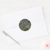 Manuka Tree Forest New Zealand Ronde Sticker (Envelop)