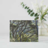 Manuka Tree Forest Nieuw-Zeeland Briefkaart (Staand voorkant)