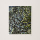 Manuka Tree Forest Nieuw-Zeeland Legpuzzel (Verticaal)