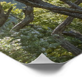 Manuka Tree Forest Nieuw-Zeeland Poster (Hoek)