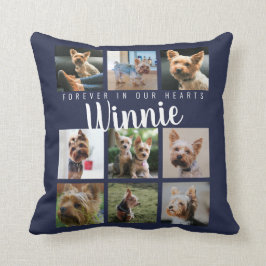 Manuscript van het Kaap van het Geheugen van de Fo Kussen