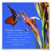Manuscripten van Butterfly en Flower Phillipians 4 Foto Afdruk (Voorkant)