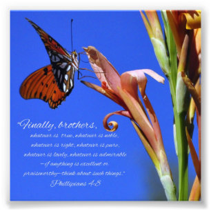 Manuscripten van Butterfly en Flower Phillipians 4 Foto Afdruk