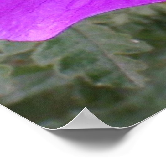 Manuskapper Poster (Hoek)