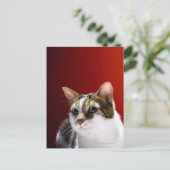 Manx cat briefkaart (Staand voorkant)