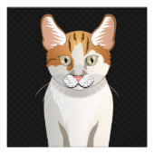 Manx Cat Cartoon Paws Foto Afdruk (Voorkant)