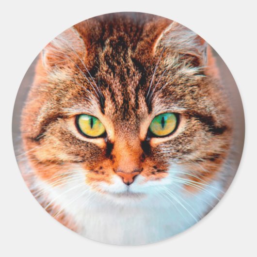 Manx Cat Face Ronde Sticker (Voorkant)