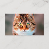 Manx Cat Face Visitekaartje (Achterkant)