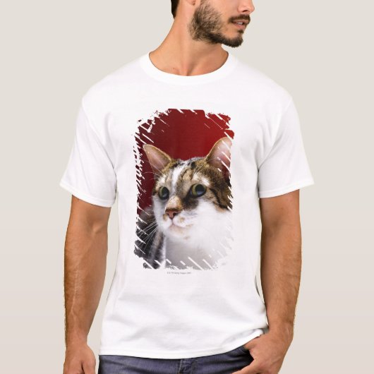 Manx cat t-shirt (Voorkant)