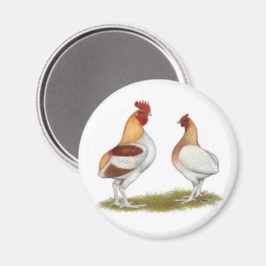 Manx Rumpies Magneet (Voorkant / Achterkant)