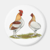 Manx Rumpies Magneet (Voorkant)