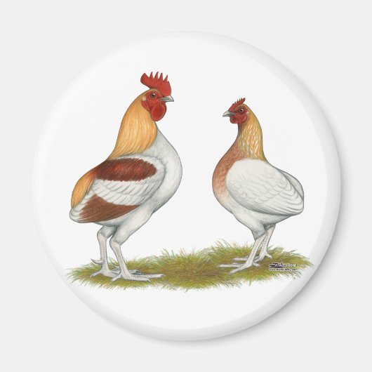 Manx Rumpies Magneet (Voorkant)