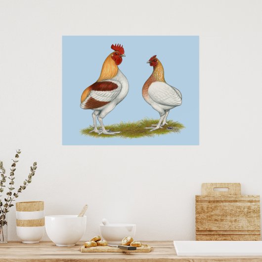 Manx Rumpies Poster (Keuken)