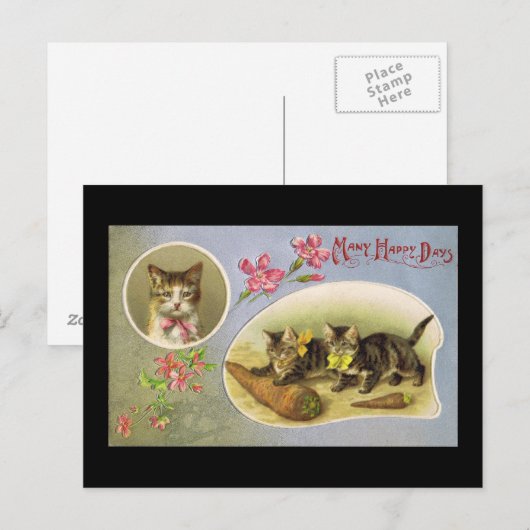 Many Happy Briefkaart (Voorkant / Achterkant)