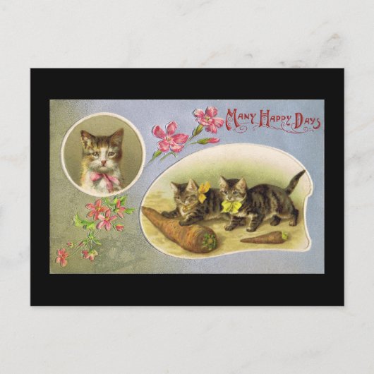 Many Happy Briefkaart (Voorkant)