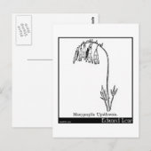 Manypeeplia Upsidownia. Briefkaart (Voorkant / Achterkant)