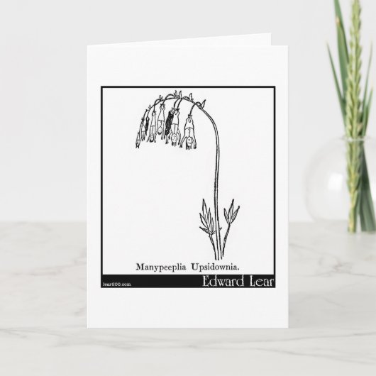 Manypeeplia Upsidownia. Kaart (Voorkant)