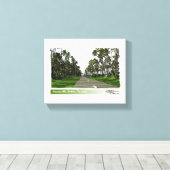 Manzanilla Stretch, Trinidad Canvas Afdruk (Insitu (Houten vloer))