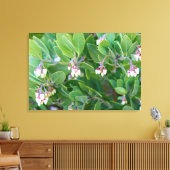 manzanita bloemen verpakt canvas afdruk (Insitu (Woonkamer))