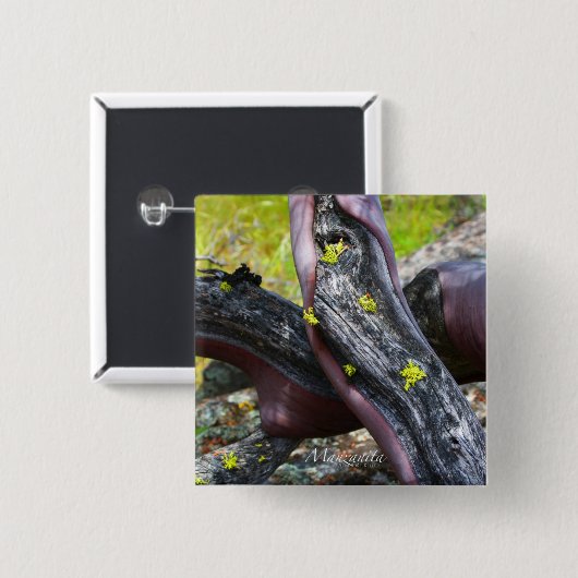 Manzanita Button (Voorkant /achterkant)