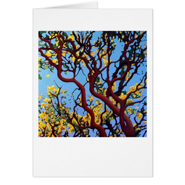 Manzanita in het najaar (Voorkant)