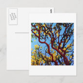 Manzanita in het najaar briefkaart (Voorkant / Achterkant)