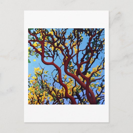 Manzanita in het najaar briefkaart (Voorkant)