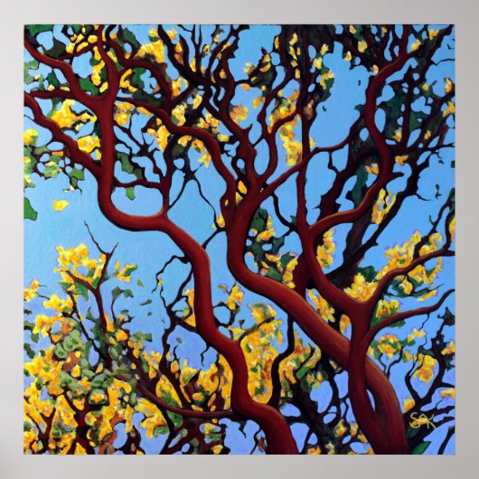 Manzanita in het najaar poster (Voorkant)