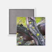 Manzanita Magnet (Voorkant / Achterkant)