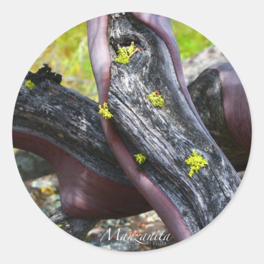 Manzanita Sticker (Voorkant)