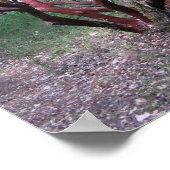 Manzanita Tree Poster (Hoek)