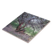 Manzanita Tree Tegeltje (Zijkant)