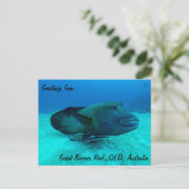 Maori Wrasse op het Briefkaart van het Great Barri (Staand voorkant)