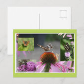 Map Butterfly Collage DIY Postcard Feestdagenkaart (Voorkant / Achterkant)