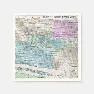 Map New York City Central Park Servet