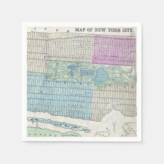 Map New York City Central Park Servet (Voorkant)