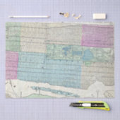 Map New York City Central Park Tissuepapier (Craft)