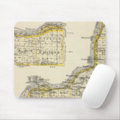 Map of Rock Island County en Dixon Muismat (Met muis)