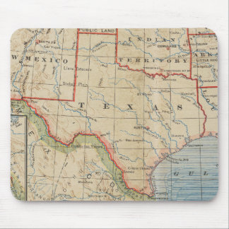 Map of Texas with Towns and Rivers - Antiek 1888 Muismat