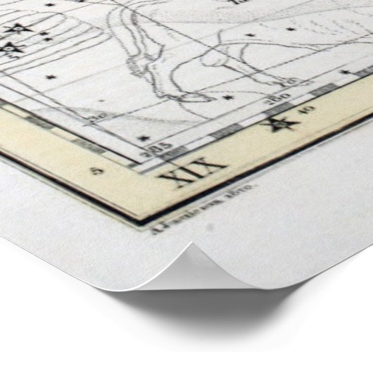 Map of The Constellations Plate VIII Poster (Hoek)