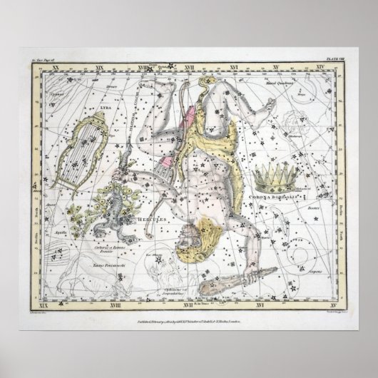 Map of The Constellations Plate VIII Poster (Voorkant)