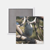 Map ZAZZ 1 012 Magneet (Voorkant / Achterkant)