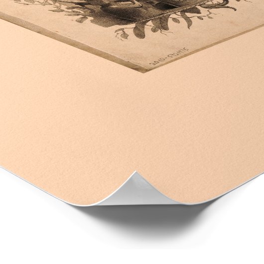 Mapa del Peru (1862) Poster (Hoek)