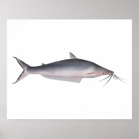 Mapará Poster (Voorkant)