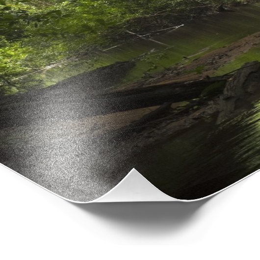 Mapari, Mapari Rupununi, Guyana. Foto Afdruk (Hoek)