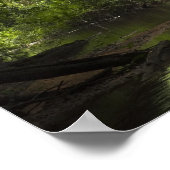 Mapari, Mapari Rupununi, Guyana. Poster (Hoek)